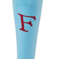 Castore Feyenoord 3rd Socks 2025-2026