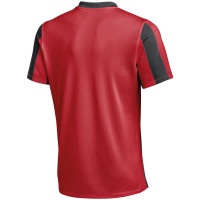 VV De Rijnstreek Thuisshirt Senior