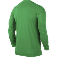 Nike LS Park VI Jersey Hyper Verde Black