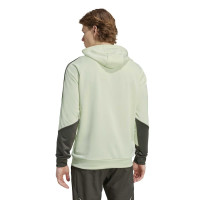 adidas Real Madrid Track Hoodie 2025-2026 Lichtgroen Grijs