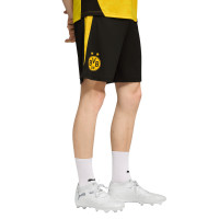 PUMA Borussia Dortmund Training Set 2025-2026 Silver Black Yellow