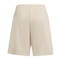 adidas Ajax Minikit 3e 2025-2026 Toddlers/Preschoolers