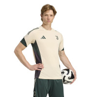 adidas Juventus European Training Shirt 2025-2026 Beige Green Black