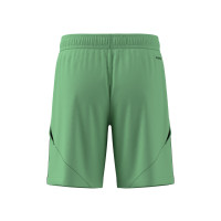 Jodan Boys Keepersshort Luxe Junior Groen