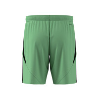 Jodan Boys Keepersshort Luxe Senior Groen