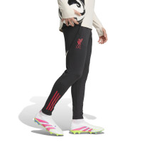 adidas Liverpool Track Hooded Tracksuit 2025-2026 White Black Red