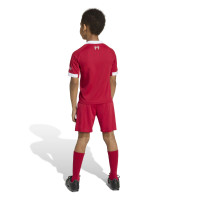 adidas Liverpool Minikit Thuis 2025-2026 Peuters/Kleuters