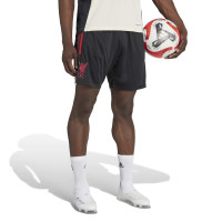 adidas Liverpool Training Set 2025-2026 Black Red White
