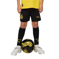 PUMA Borussia Dortmund Thuistenue 2025-2026 Kids