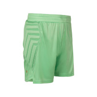 Robey Patron Padded Goalkeeper Pants Green