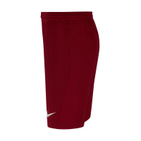 Nike Dri-FIT Park III Kids Burgundy Football Shorts
