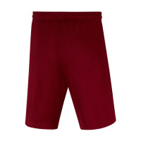 Nike Dri-FIT Park III Kids Burgundy Football Shorts