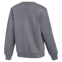 Nike Park 26 Fleece Crew Sweater Kids Donkergrijs Wit