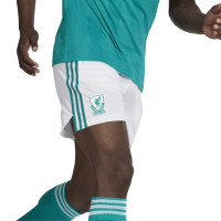 adidas Liverpool 3rd Kit 2025-2026
