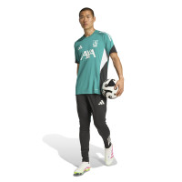 adidas Liverpool European Training Shirt 2025-2026 Green White Black