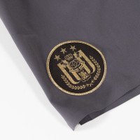 Joma RSC Anderlecht Trainingsset 2025-2026 Grijs