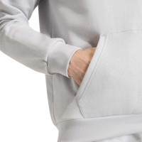 adidas Entrada 26 Hoodie Grijs Wit