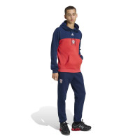 adidas Arsenal Hoodie 1992-1994 Rood Blauw