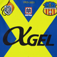 Meyba Sant Andreu Away Shirt 2025-2026