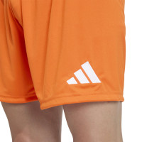 adidas Entrada 26 Voetbaltenue Oranje Wit