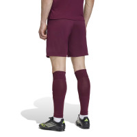 adidas Entrada 26 Voetbaltenue Donkerrood Wit