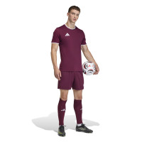 adidas Entrada 26 Voetbalbroekje Donkerrood Wit