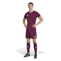 adidas Entrada 26 Voetbalbroekje Donkerrood Wit