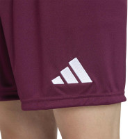 adidas Entrada 26 Voetbaltenue Donkerrood Wit