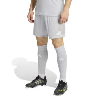 adidas Entrada 26 Football Kit Grey White