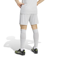 adidas Entrada 26 Football Kit Grey White