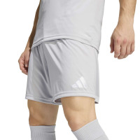 adidas Entrada 26 Football Kit Grey White
