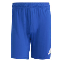 adidas Entrada 26 Voetbaltenue Blauw Wit