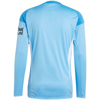 VV Haastrecht Keepersshirt Senior Lichtblauw Wit