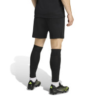 adidas Entrada 26 Voetbaltenue Mintgroen Zwart