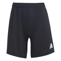 adidas Entrada 26 Voetbaltenue Dames Lichtblauw Zwart