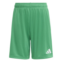 adidas Entrada 26 Voetbaltenue Kids Groen Wit