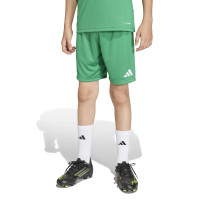 adidas Entrada 26 Voetbaltenue Kids Groen Wit