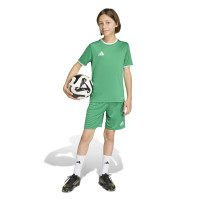 adidas Entrada 26 Voetbaltenue Kids Groen Wit