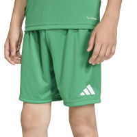 adidas Entrada 26 Voetbaltenue Kids Groen Wit