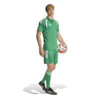 adidas Tiro 26 League Football Shorts Green White