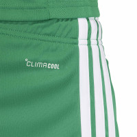 adidas Tiro 26 League Football Shorts Green White