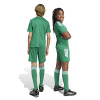 adidas Tiro 26 League Football Shorts Kids Green White