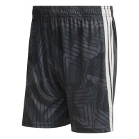 adidas Tiro 26 Competition Goalkeeper Kit Short Sleeve Black