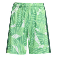 adidas Tiro 26 Competition Keeperstenue Lange Mouwen Kids Lichtgroen