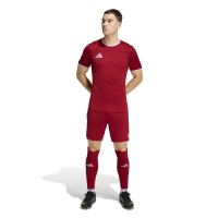 adidas Entrada 26 Football Kit Red White