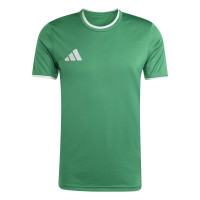 adidas Entrada 26 Voetbaltenue Groen Wit