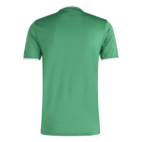 adidas Entrada 26 Voetbaltenue Groen Wit