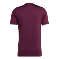 adidas Entrada 26 Football Shirt Dark Red White