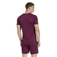 adidas Entrada 26 Voetbaltenue Donkerrood Wit