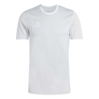 adidas Entrada 26 Football Kit Grey White
